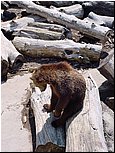 dsc07587.jpg