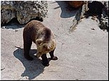 dsc07589.jpg