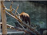 dsc07591.jpg