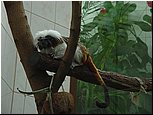 dsc07603.jpg