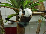 dsc07607.jpg