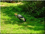dsc07609.jpg