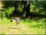 dsc07610.jpg