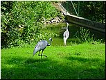 dsc07611.jpg
