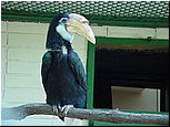 dsc07612.jpg