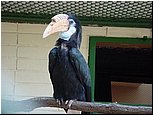 dsc07613.jpg