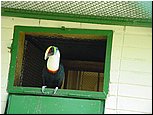 dsc07615.jpg