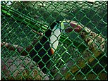 dsc07616.jpg