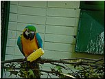 dsc07617.jpg