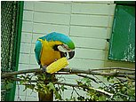 dsc07618.jpg