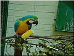 dsc07619.jpg