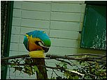 dsc07620.jpg