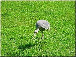 dsc07621.jpg