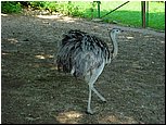 dsc07626.jpg