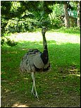 dsc07627.jpg