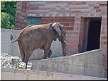 dsc07629.jpg