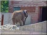 dsc07630.jpg