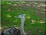 dsc07631.jpg