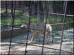 dsc07636.jpg