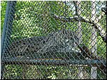 dsc07637.jpg