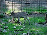 dsc07639.jpg