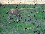 dsc07642.jpg