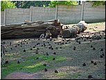 dsc07643.jpg