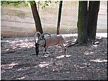 dsc07645.jpg