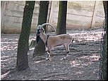 dsc07646.jpg