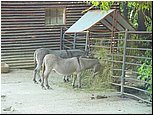 dsc07648.jpg