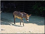 dsc07649.jpg
