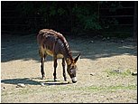 dsc07650.jpg