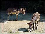 dsc07651.jpg