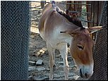 dsc07659.jpg