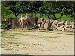 dsc07662.jpg