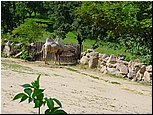 dsc07663.jpg