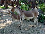 dsc07664.jpg