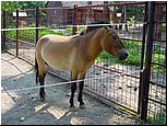 dsc07665.jpg