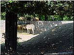 dsc07666.jpg