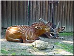 dsc07668.jpg