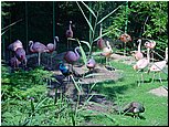 dsc07671.jpg
