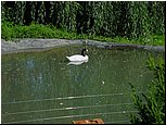 dsc07672.jpg