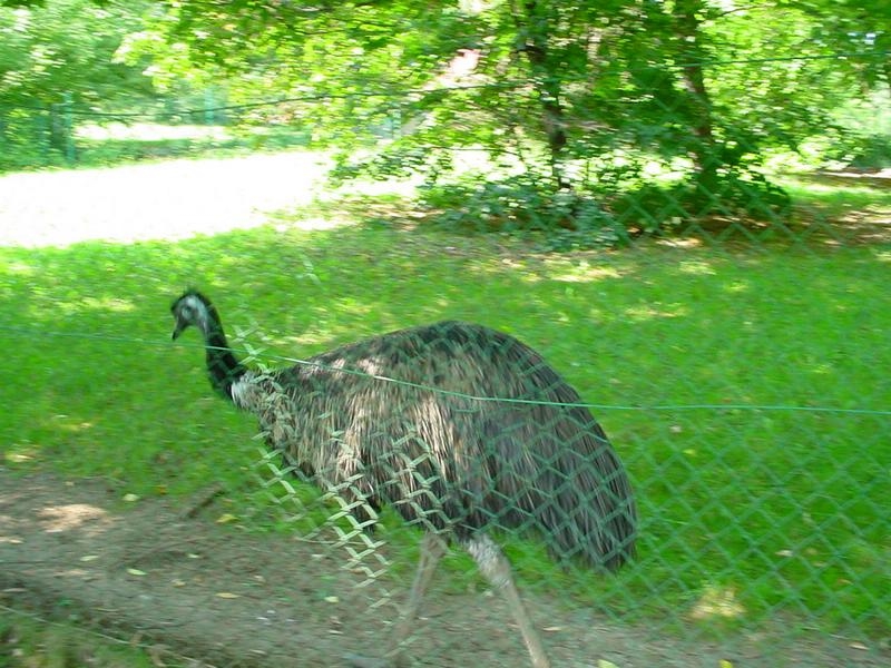 dsc07623.jpg