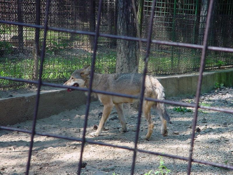 dsc07636.jpg