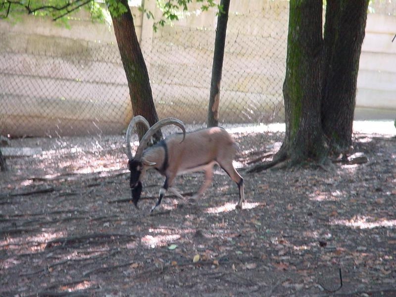 dsc07645.jpg