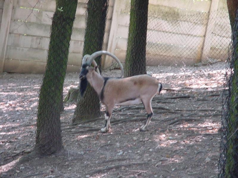 dsc07646.jpg