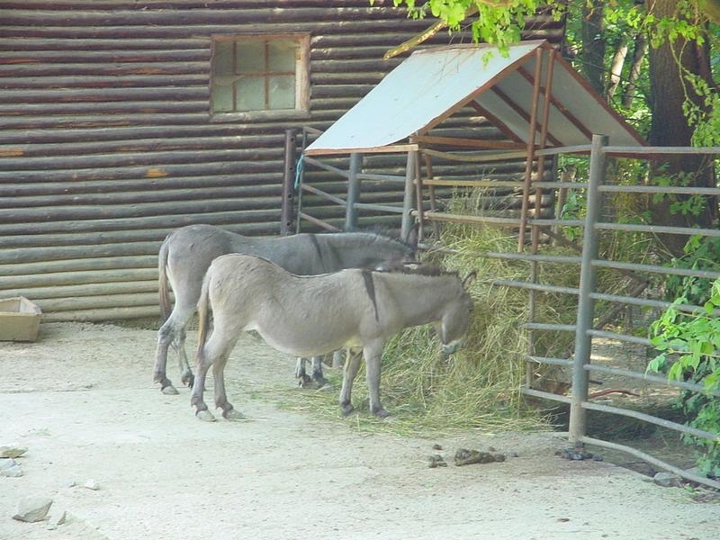 dsc07648.jpg