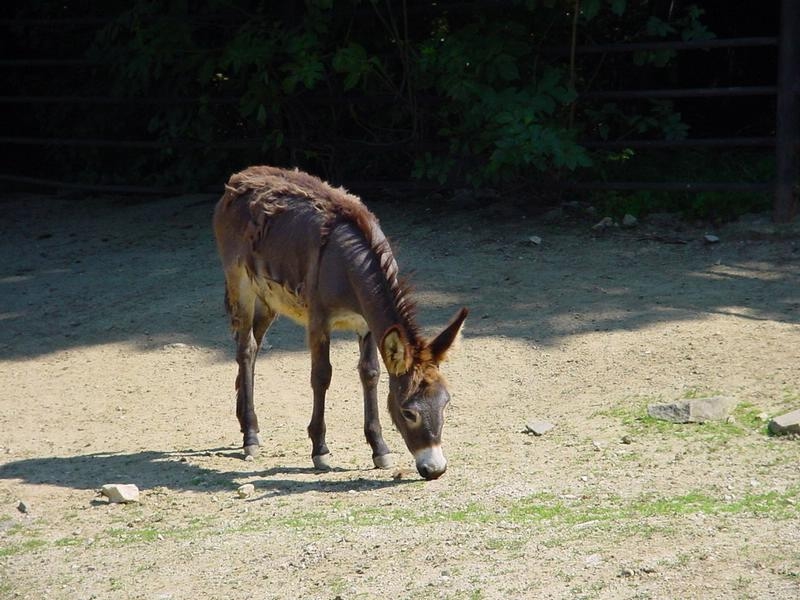 dsc07650.jpg