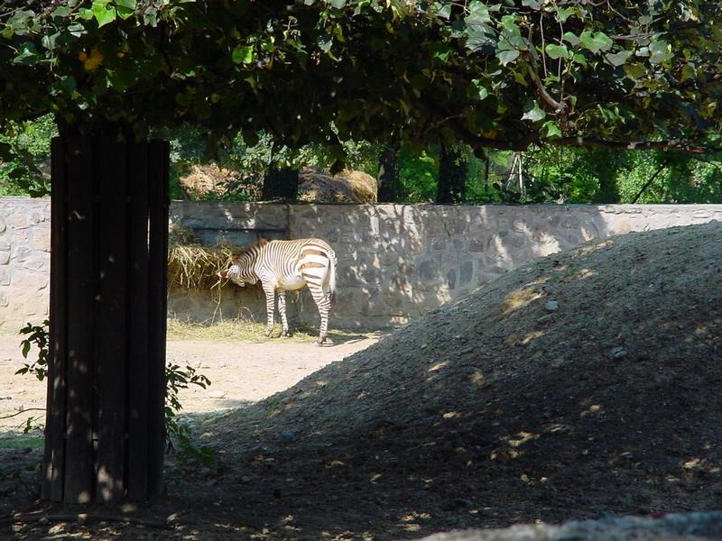 dsc07666.jpg