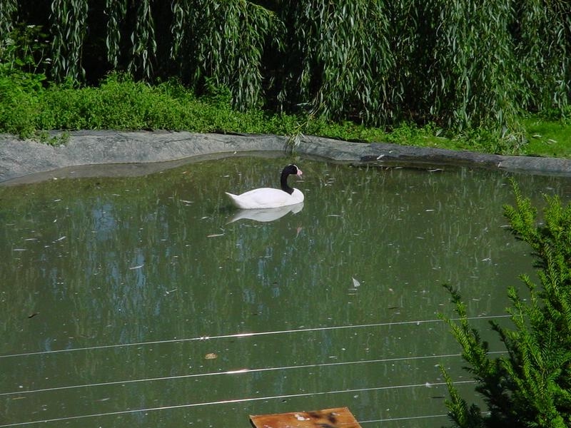 dsc07672.jpg